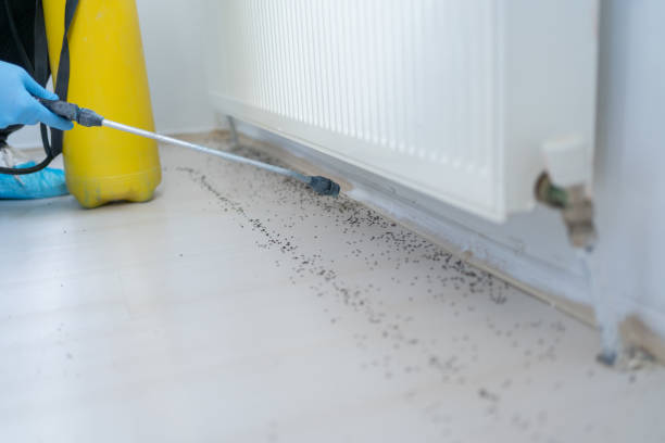 Best Pest Prevention Services  in Dover, DE